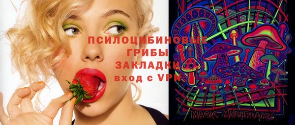 индика Алзамай