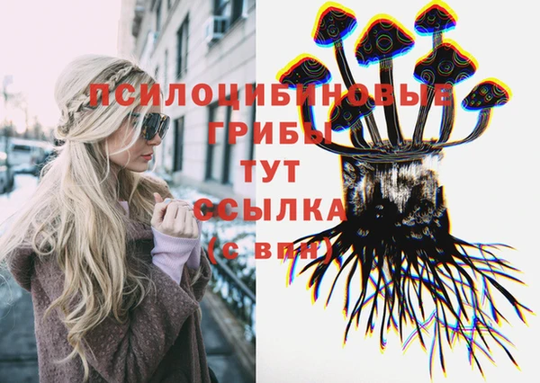 МДМА Алексин