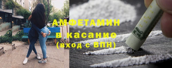 индика Алзамай