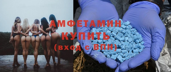 индика Алзамай