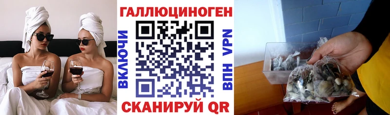 KRAKEN как войти  купить наркотики сайты  Феодосия  Псилоцибиновые грибы Cubensis 